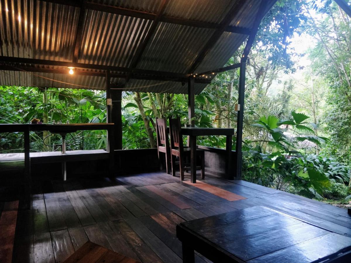 Los Mineros Guesthouse Dos Brazos Dış mekan fotoğraf