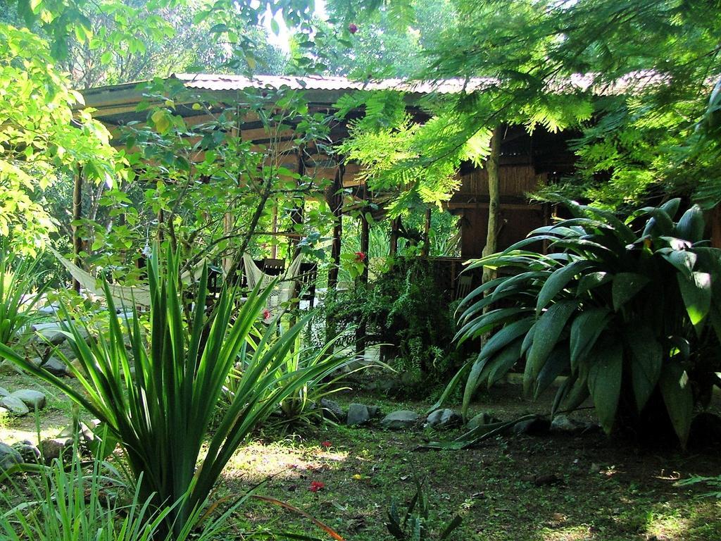 Los Mineros Guesthouse Dos Brazos Dış mekan fotoğraf