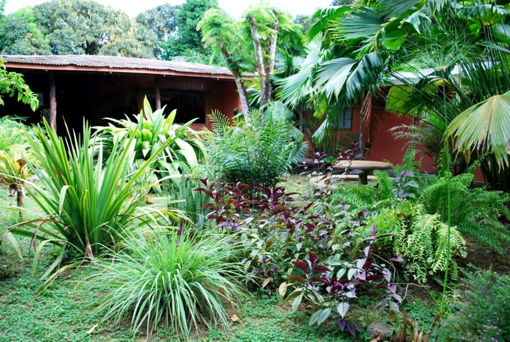 Los Mineros Guesthouse Dos Brazos Dış mekan fotoğraf